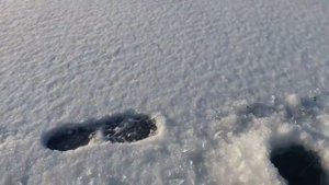 Попал на стаю огромных окуней. Городомля Ру