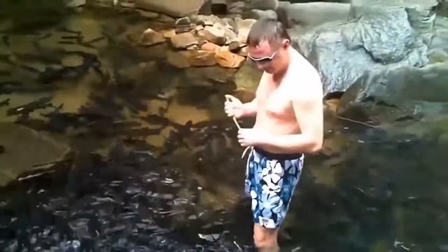 Вот это рыбалочка!!  HD