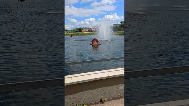 обзор лабораторного пруда который находится возле районного центра Баку на улице Усиевича 12 смотреть онлайн