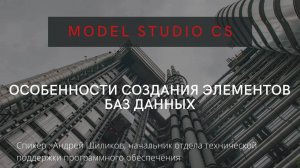 Особенности создания элементов баз данных для Model Studio CS | Создание параметрических объектов