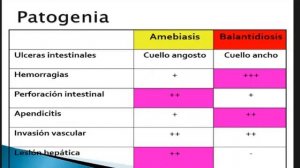 Tmmed infectología - 2 14