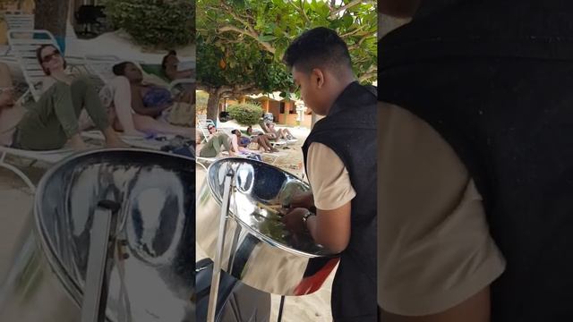 Steelpan entertainment travis teelai( my heart will go on) смотреть онлайн