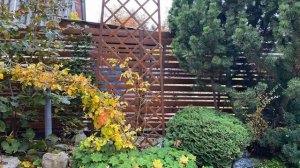 ЗАКРЫВАЕМ дачный СЕЗОН /Октябрь / Названия растений