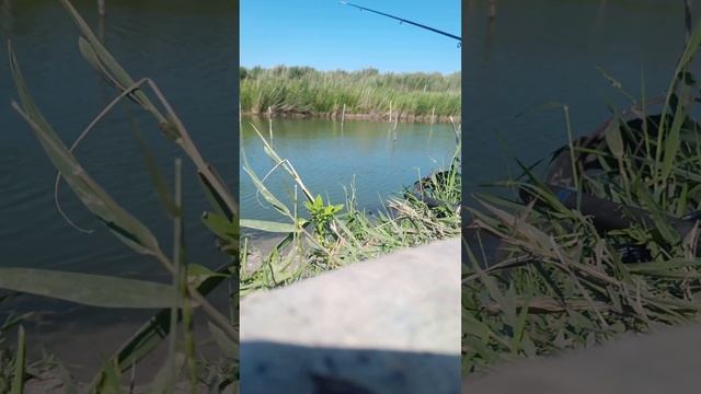 26 июля 2023 г. смотреть онлайн