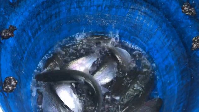 8.12.2022 смотреть онлайн