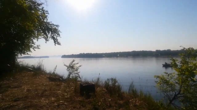 В заповеднике птички поют в 5-00 утра смотреть онлайн