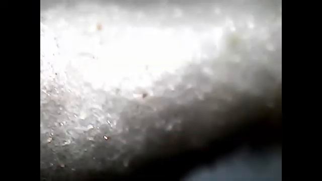 ZOOM 1000X "JAMUR TEMPE" ZOOM MIKROSKOP 1000X EXPERIMENT смотреть онлайн