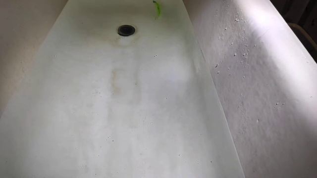 Игра приманки Bait Breath Bugsy 4' Реплика смотреть онлайн