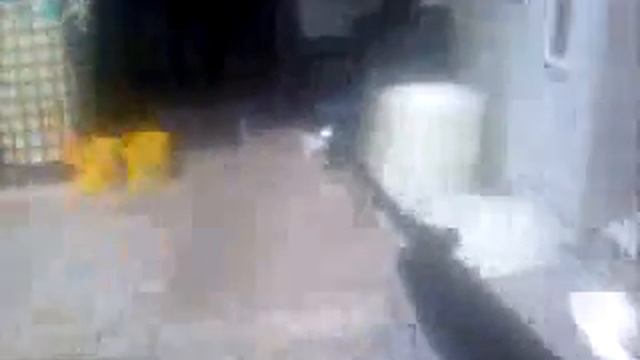 Faqz Cam("Whea Dis Nigga At Man?" смотреть онлайн