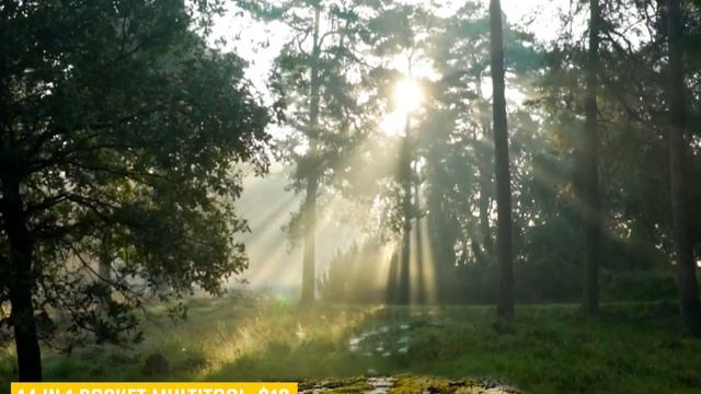 The Top 5 Camping Multitools смотреть онлайн