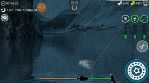 как поймать чёрного амура