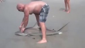 Черноперая Акула поймали на удочку