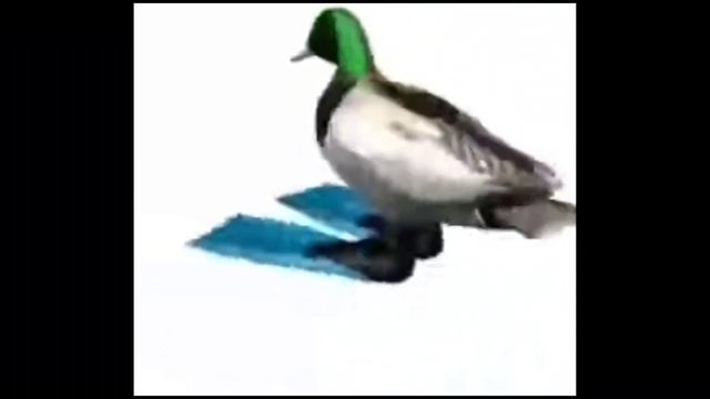 duck spinning under the beatbox смотреть онлайн