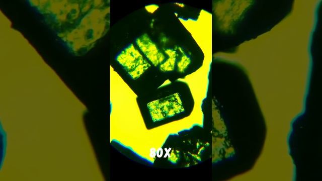 Sugar Crystals Seen Under a Microscope смотреть онлайн