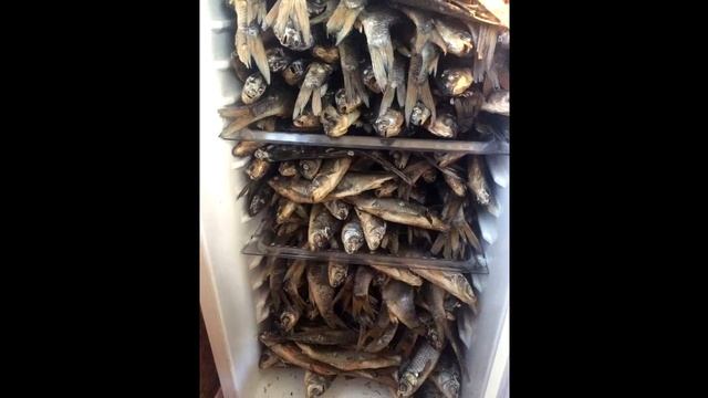 Вобла к пиву,простой рецепт!