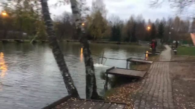Утро на водоёме РК Фишка Липки. смотреть онлайн
