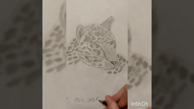 Рисунок "Ягуар" смотреть онлайн