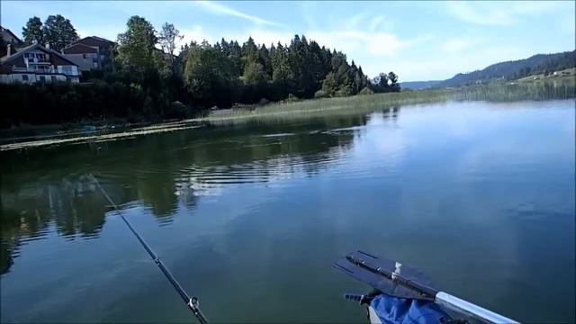 Rotengles au notobug 30F SAKURA chez Crankys.fr смотреть онлайн