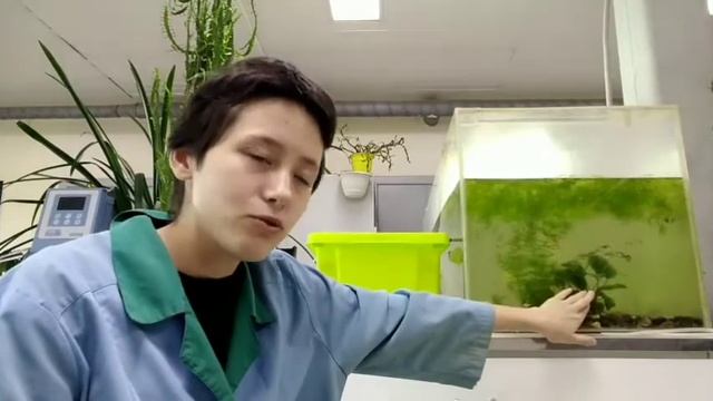 АКВАРИУМ НА РАБОТЕ! смотреть онлайн