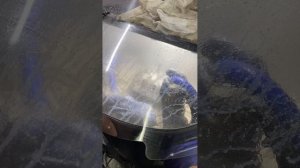 Моем тормозной суппорт аквабластом =НЕПТУН=