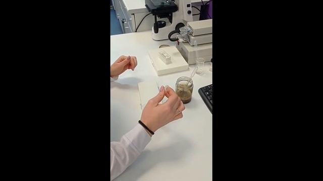 Наноквантум. Инфузории, часть 2 смотреть онлайн