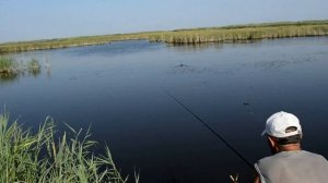 На рыбалке. Река Ея.