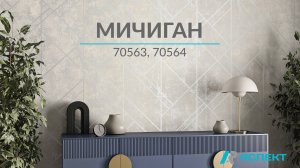 Мичиган 70563, 70564