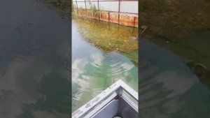 Голубицкая 2023,моментальный клев#море #суперотдых#