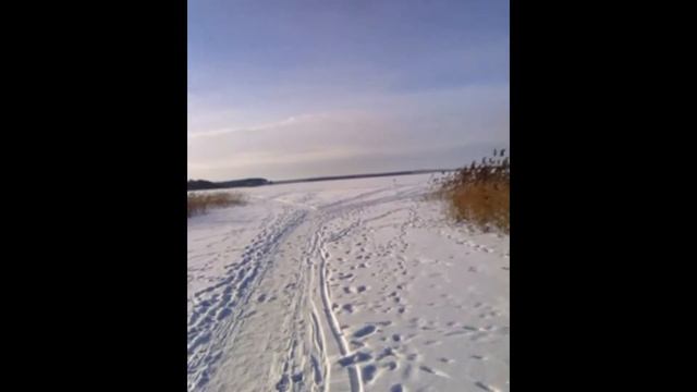 ЩУКА МЯСТРО 2021 ЯНВАРЬ!!! смотреть онлайн