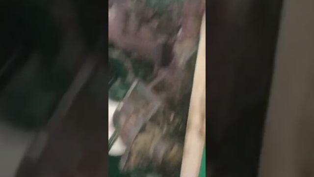 কন্ট্রোলিং প্যানেলে থেকে স্টার্ট না হওয়ায় বিকল্প পদ্ধতিতে জেনারেটর স্টার্ট করার সিস্টেম। смотреть онлайн