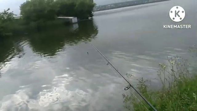 Как Попенштейн на рыбалку ходил. смотреть онлайн