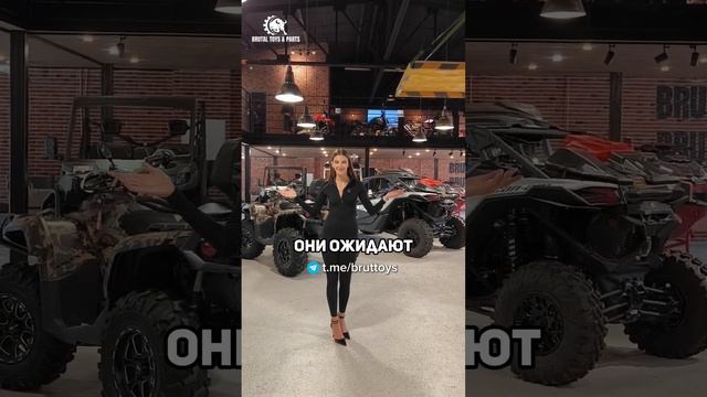 Где живут игрушки для настоящих мужчин?