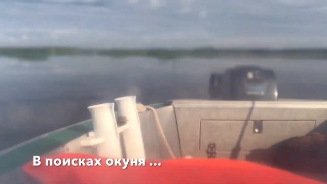 VLOG 👽 Рыбалка 🌿 Охота на окуней ♥️ смотреть онлайн