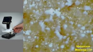 Тест микроскопа Микмед LCD