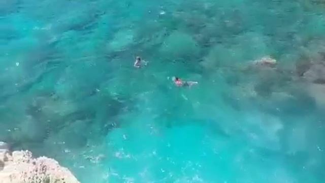 Jump from Evis2 смотреть онлайн