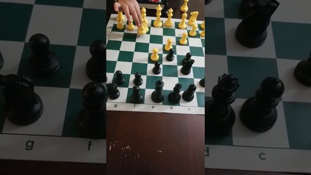 The Chess Tactics Detection Workbook Reviews