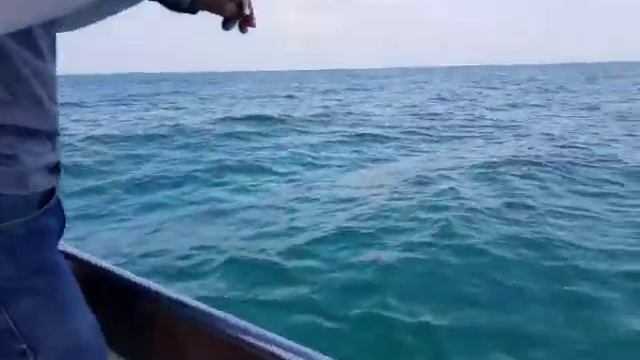 Ultralight Fishing By Ezan Redzuan смотреть онлайн