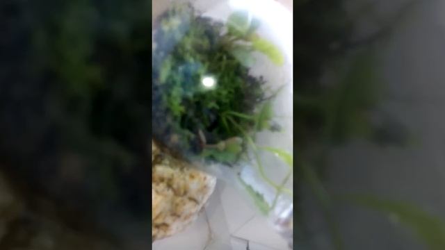 Обычные вещи НЕобычным взглядом|ч.1
