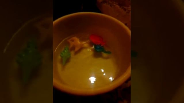 Ловим игрушечных рыб (ловил папа) смотреть онлайн