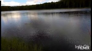 Рыбалка на реке Лоза