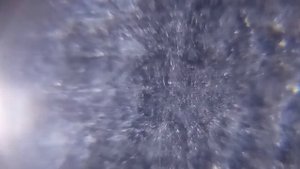 Остатки хона в гильзе, увеличение 20х и 60х