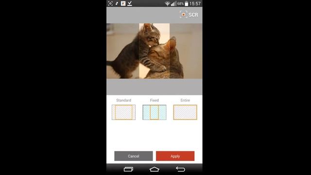 Review of Kitty Play Wallpaper Android Application