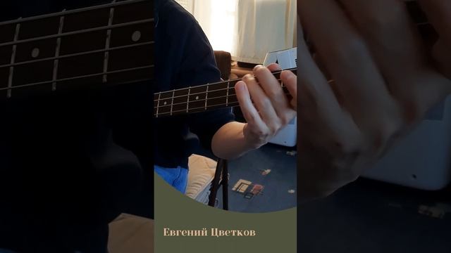 #сведение #студиязвукозаписи #записьпесни #recordingstudio #записьгитары #bass #bassguitar #bassman