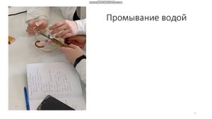 Окраска по методу Грама