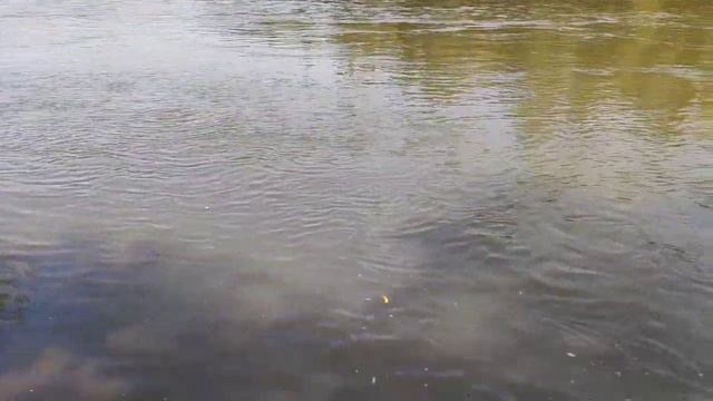 Выходные в деревне. Внучки на рыбалке! смотреть онлайн