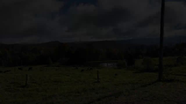 Прогулка Алисы в городе Стоу Вермонт смотреть онлайн