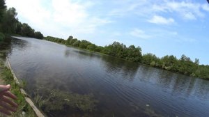 Dayo Liropus / Мормышинг на озере / Белая рыба