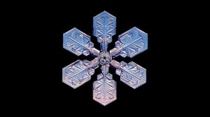 Футаж  Снежинки под микроскопом   Footage  Snowflakes under a microscope     000823