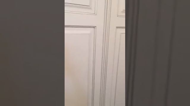 Шкаф на заказ. Цвет и комплектация на выбор смотреть онлайн