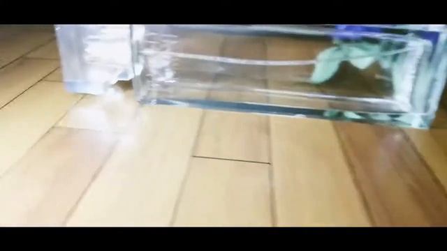 PERFUME CINEMATIC - PRODUCT VIDEO | ANDROID GRAPHERS смотреть онлайн